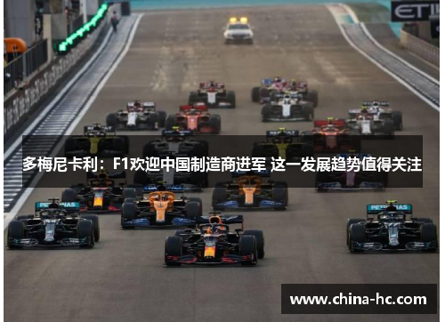 多梅尼卡利：F1欢迎中国制造商进军 这一发展趋势值得关注